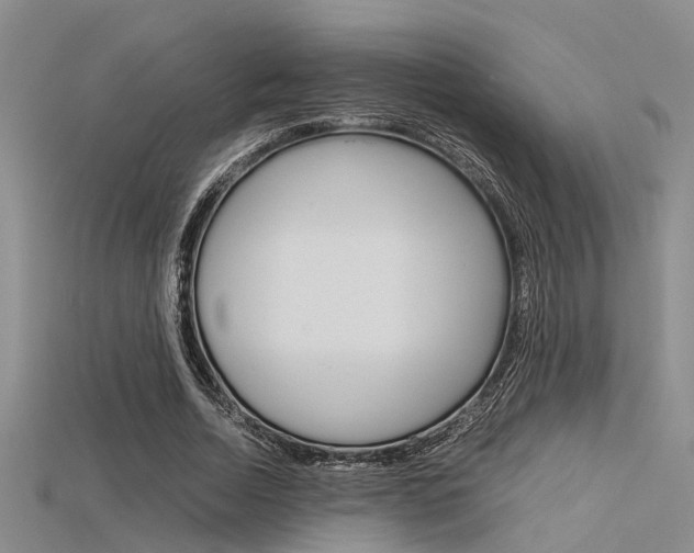X0000115740730200911121101