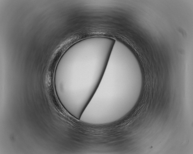 X0000115740731200911121101