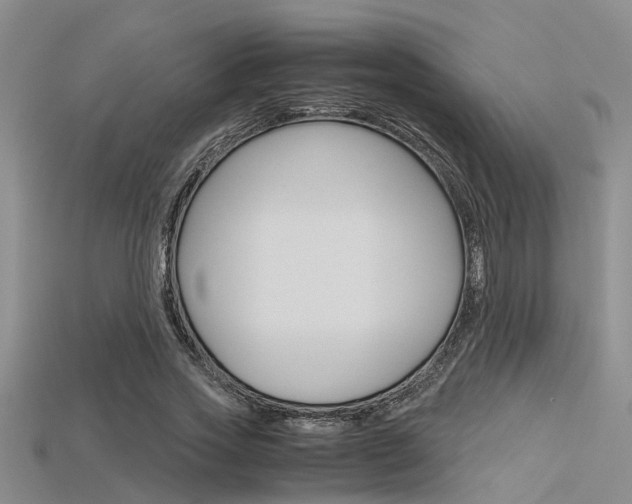 X0000115740733200911121101