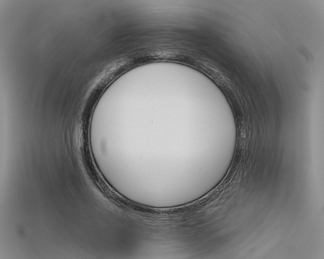X0000115740734200911121101