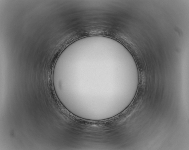 X0000115740737200911121101