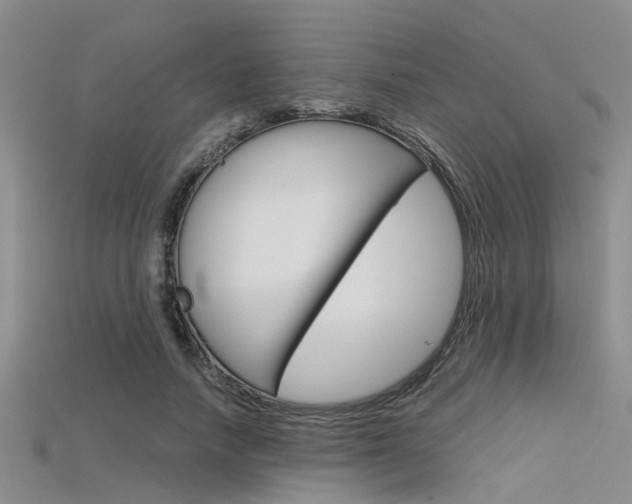X0000115740738200911121102