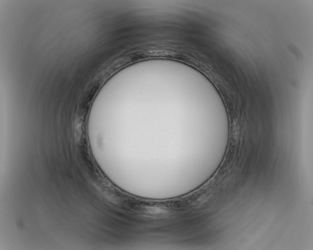 X0000115740741200911121102