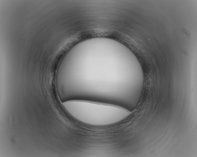 X0000115740742200911121102
