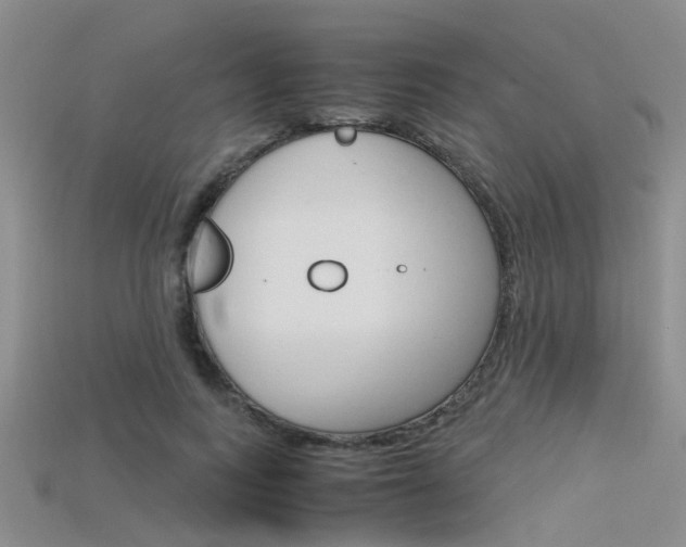 X0000115740743200911121102