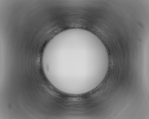 X0000115740745200911121102