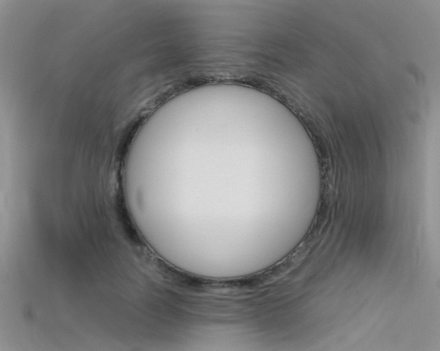 X0000115740746200911121102