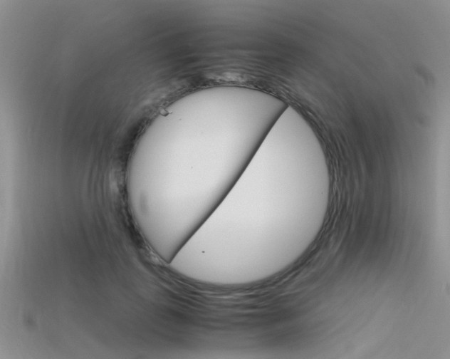 X0000115740747200911121102