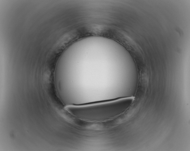 X0000115740750200911121102