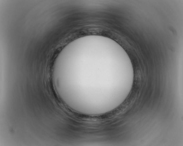 X0000115740751200911121102