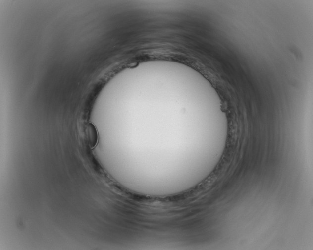X0000115740755200911121102
