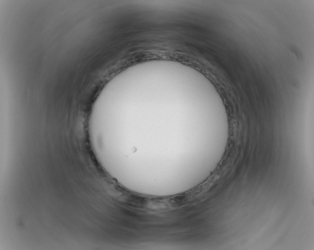 X0000115740757200911121102