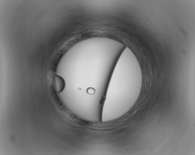 X0000115740758200911121102