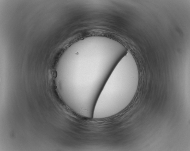 X0000115740759200911121102
