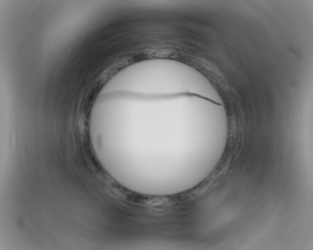 X0000115740761200911121102
