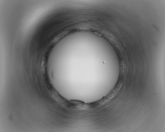 X0000115740762200911121102