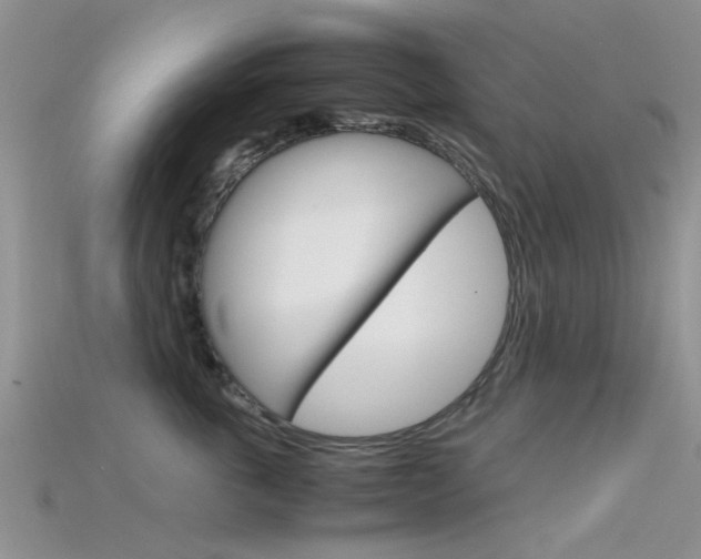 X0000115740763200911121102