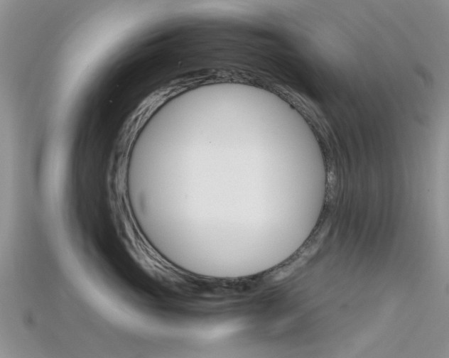 X0000115740765200911121102