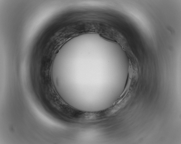 X0000115740766200911121102