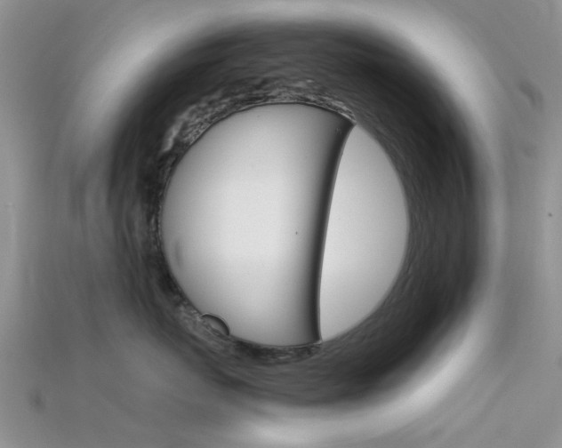 X0000115740767200911121102