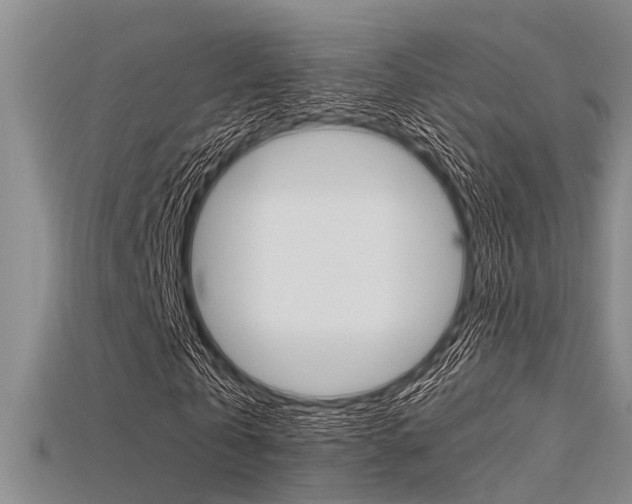 X0000115740769200911121101