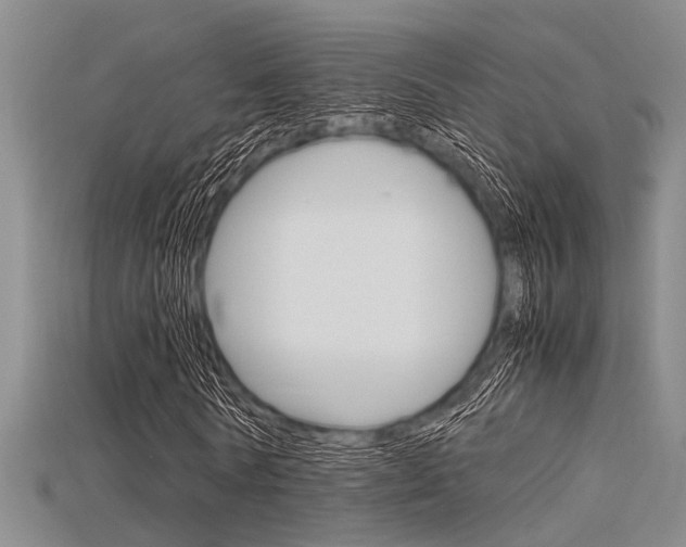 X0000115740770200911121101