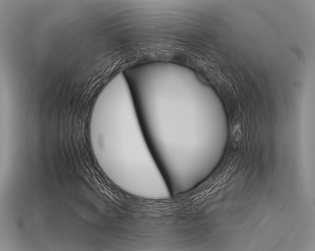 X0000115740772200911121101