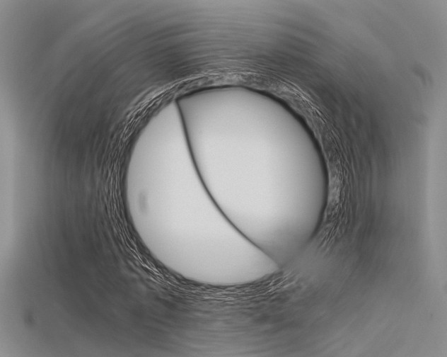 X0000115740773200911121101