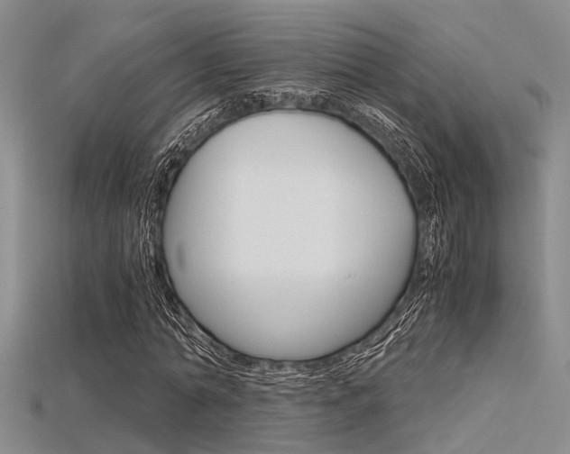 X0000115740774200911121101