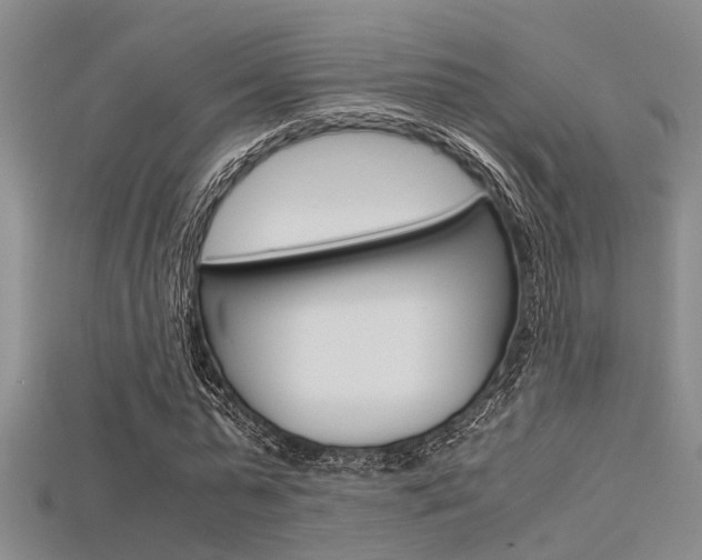X0000115740775200911121101