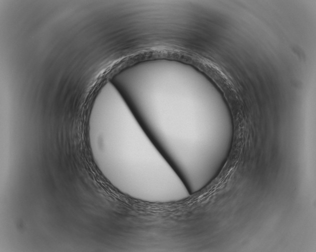 X0000115740776200911121101
