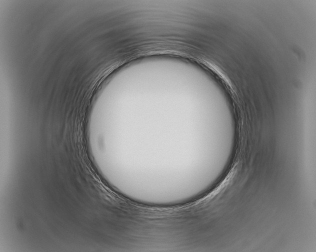 X0000115740777200911121101
