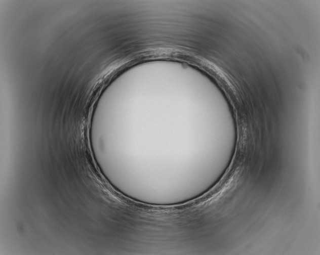 X0000115740778200911121101