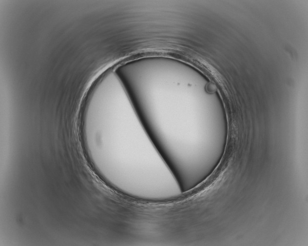 X0000115740779200911121101