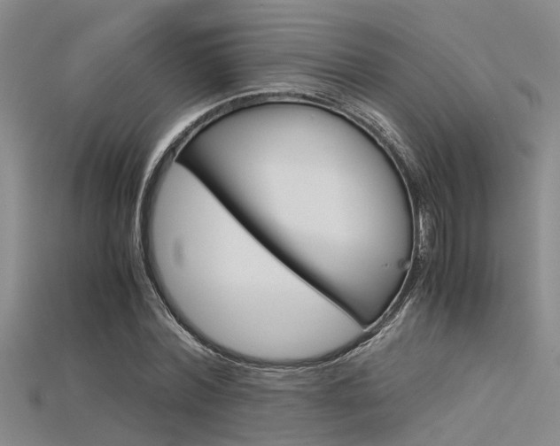X0000115740780200911121101