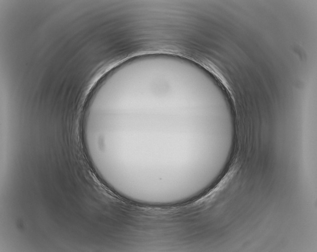 X0000115740781200911121101