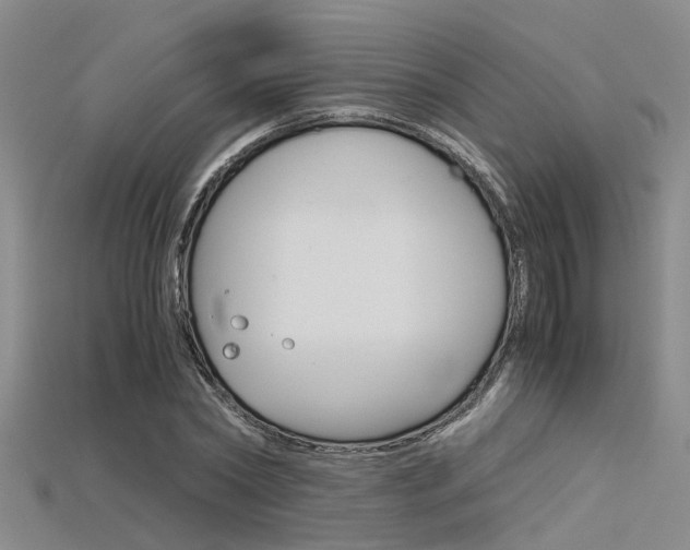 X0000115740782200911121101