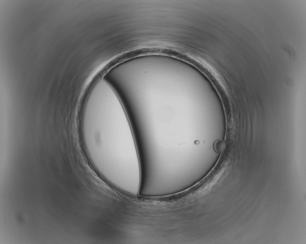 X0000115740783200911121101