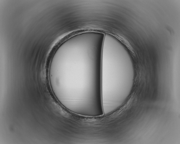 X0000115740784200911121101