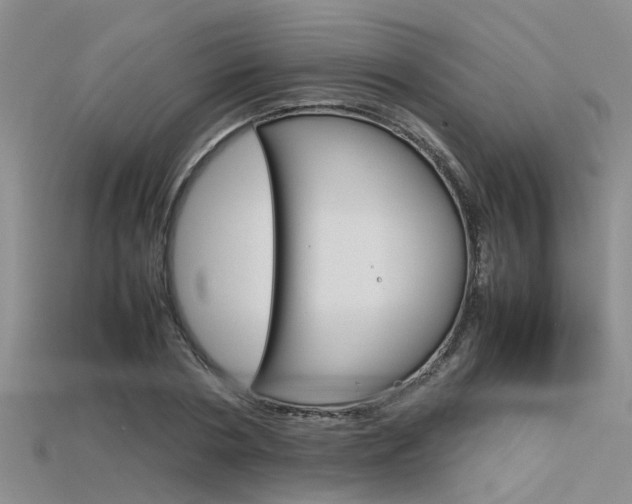 X0000115740786200911121101