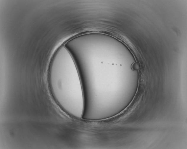 X0000115740787200911121101