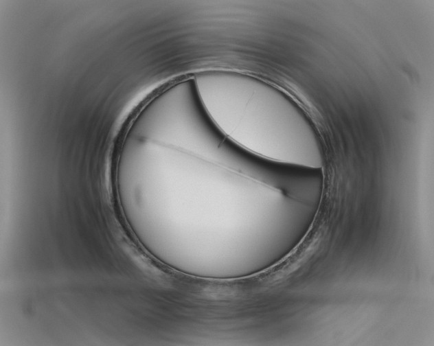 X0000115740788200911121101