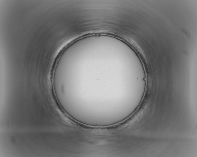X0000115740789200911121101