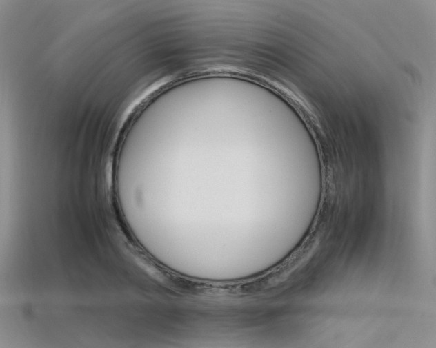 X0000115740790200911121101