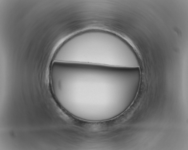 X0000115740791200911121101