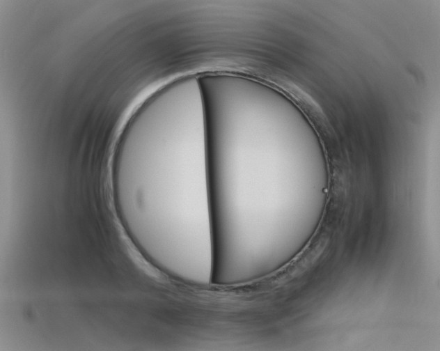 X0000115740792200911121101
