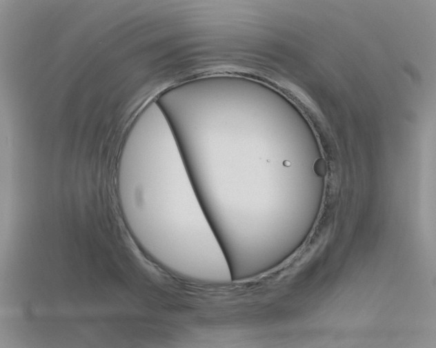 X0000115740793200911121101