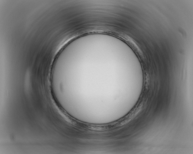 X0000115740794200911121101