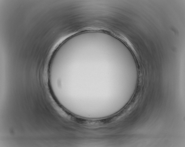 X0000115740795200911121101