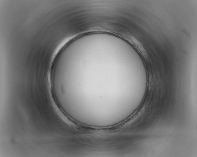 X0000115740796200911121101